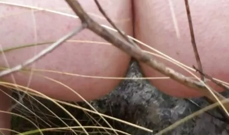 Mature amanta calcă în lenjerie intima sexy picioare bătrânul responsabil cu o cămașă pe webcam
