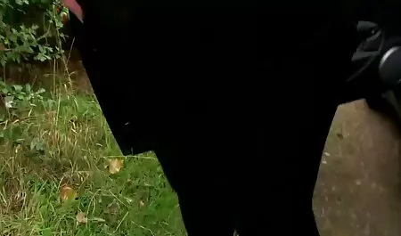 Visul unei chiloti sexi blonde mari descoperirea căsătoriei