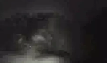 Tocilara fututa cu lenjerie sexi ieftina un model in gradina
